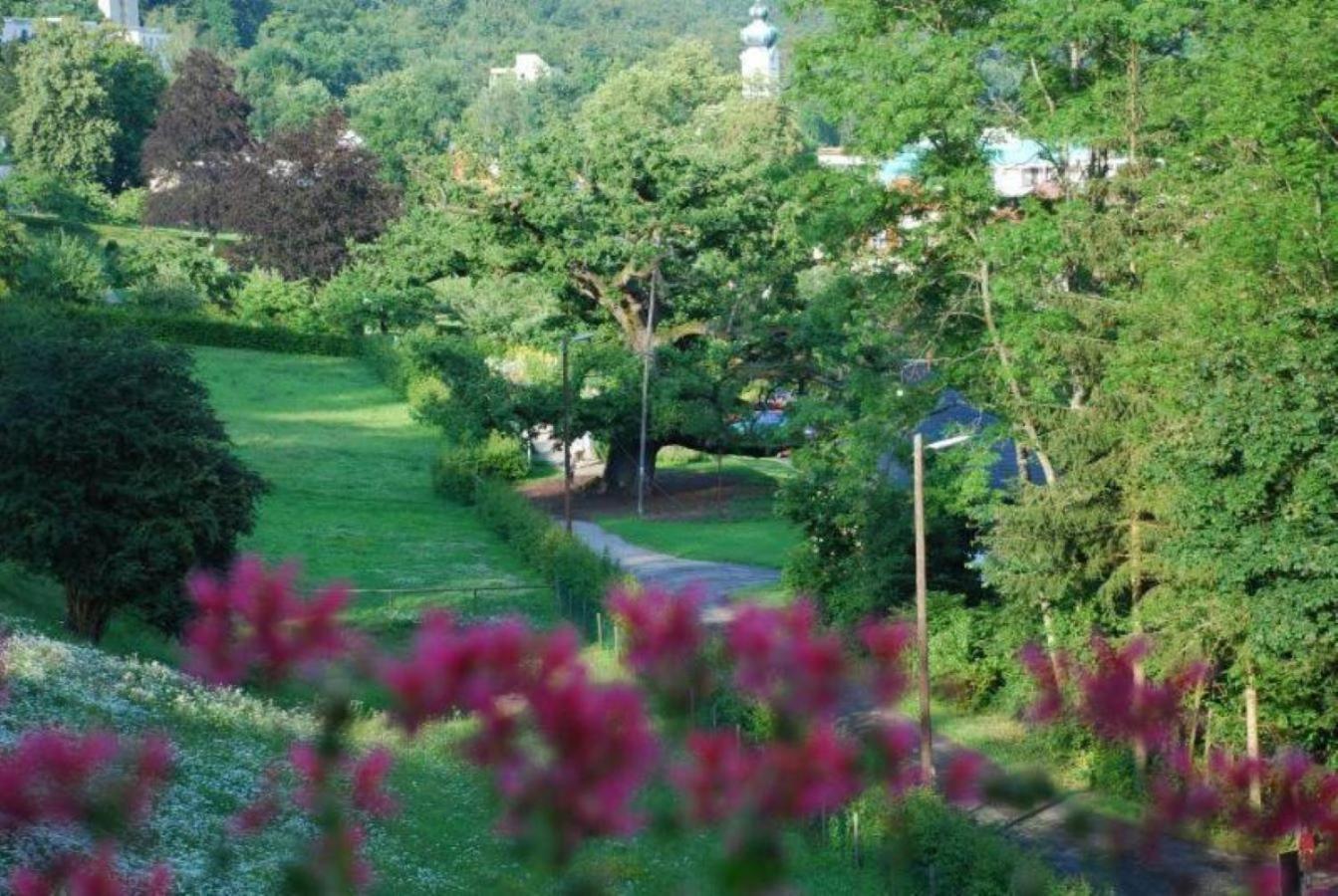 Rhön Hotel Waldcafé St. Georg Staatsbad Brückenau Esterno foto