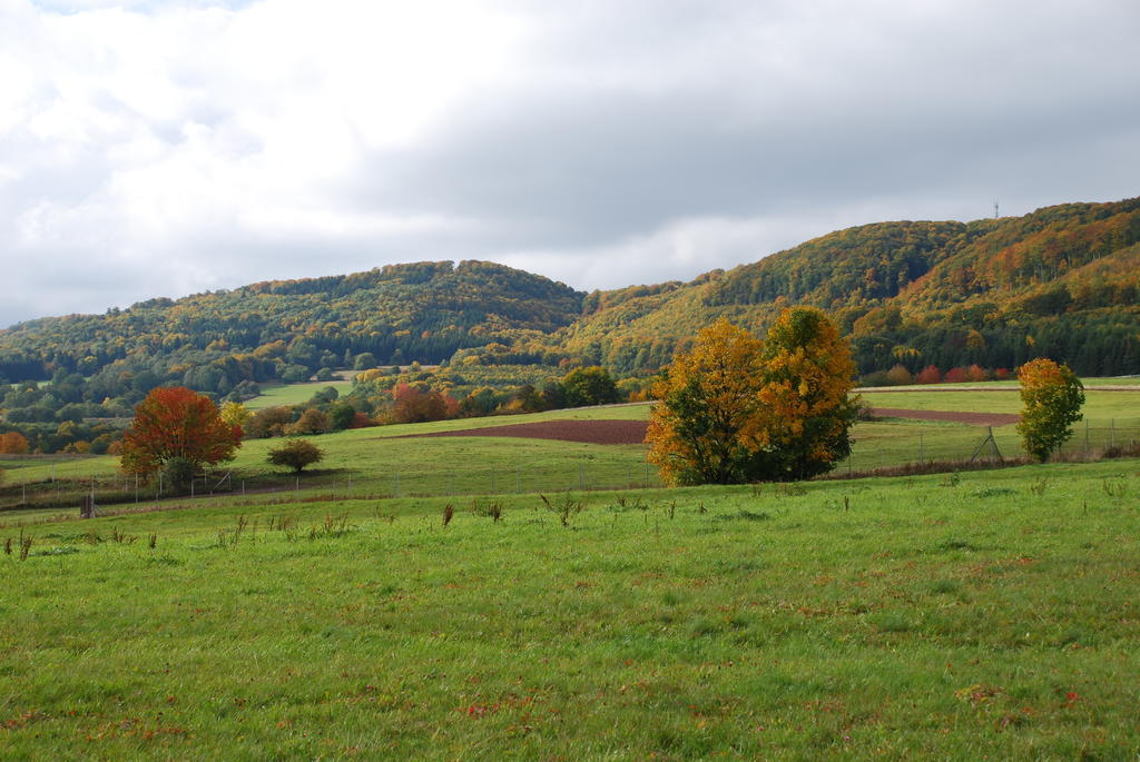 Rhön Hotel Waldcafé St. Georg Staatsbad Brückenau Esterno foto